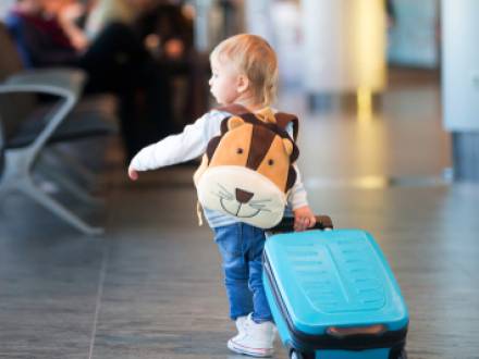 Rock County, WI family law attorney