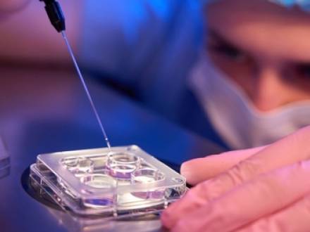 Dane County, WI divorce lawyer